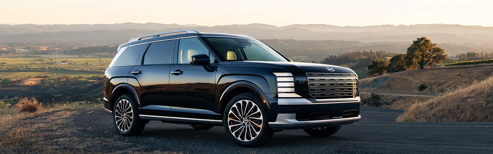 Un SUV Hyundai Palisade de color verde oscuro estacionado en una calle pavimentada frente a una casa moderna con jardines.